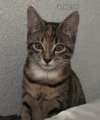 mimi1